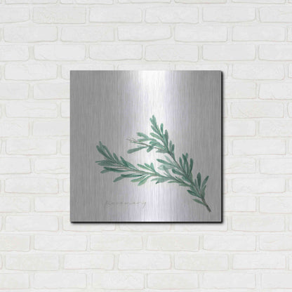 Luxe Metal Art 'Rosemary' by Chris Paschke, Metal Wall Art,24x24