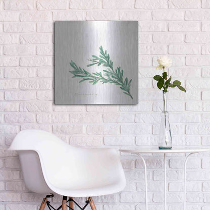 Luxe Metal Art 'Rosemary' by Chris Paschke, Metal Wall Art,24x24