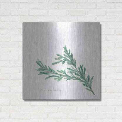 Luxe Metal Art 'Rosemary' by Chris Paschke, Metal Wall Art,36x36