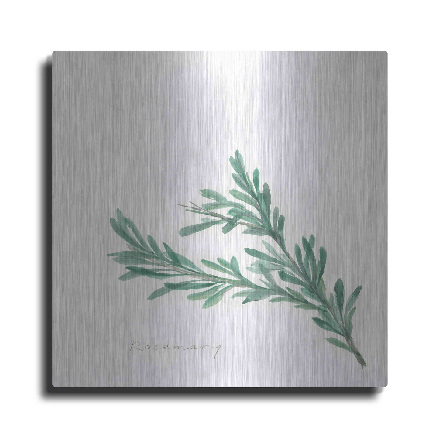 Luxe Metal Art 'Rosemary' by Chris Paschke, Metal Wall Art