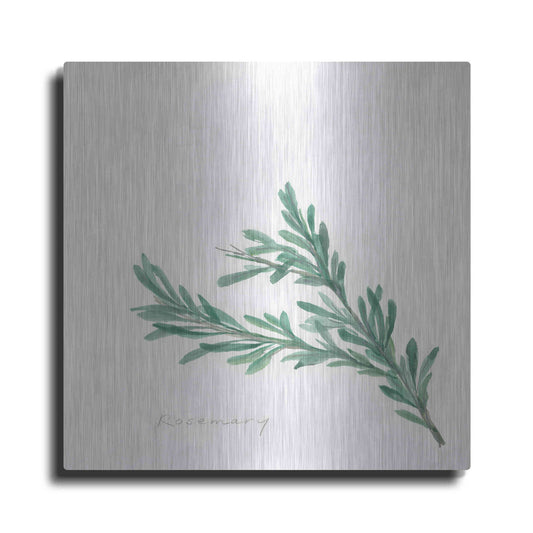 Luxe Metal Art 'Rosemary' by Chris Paschke, Metal Wall Art
