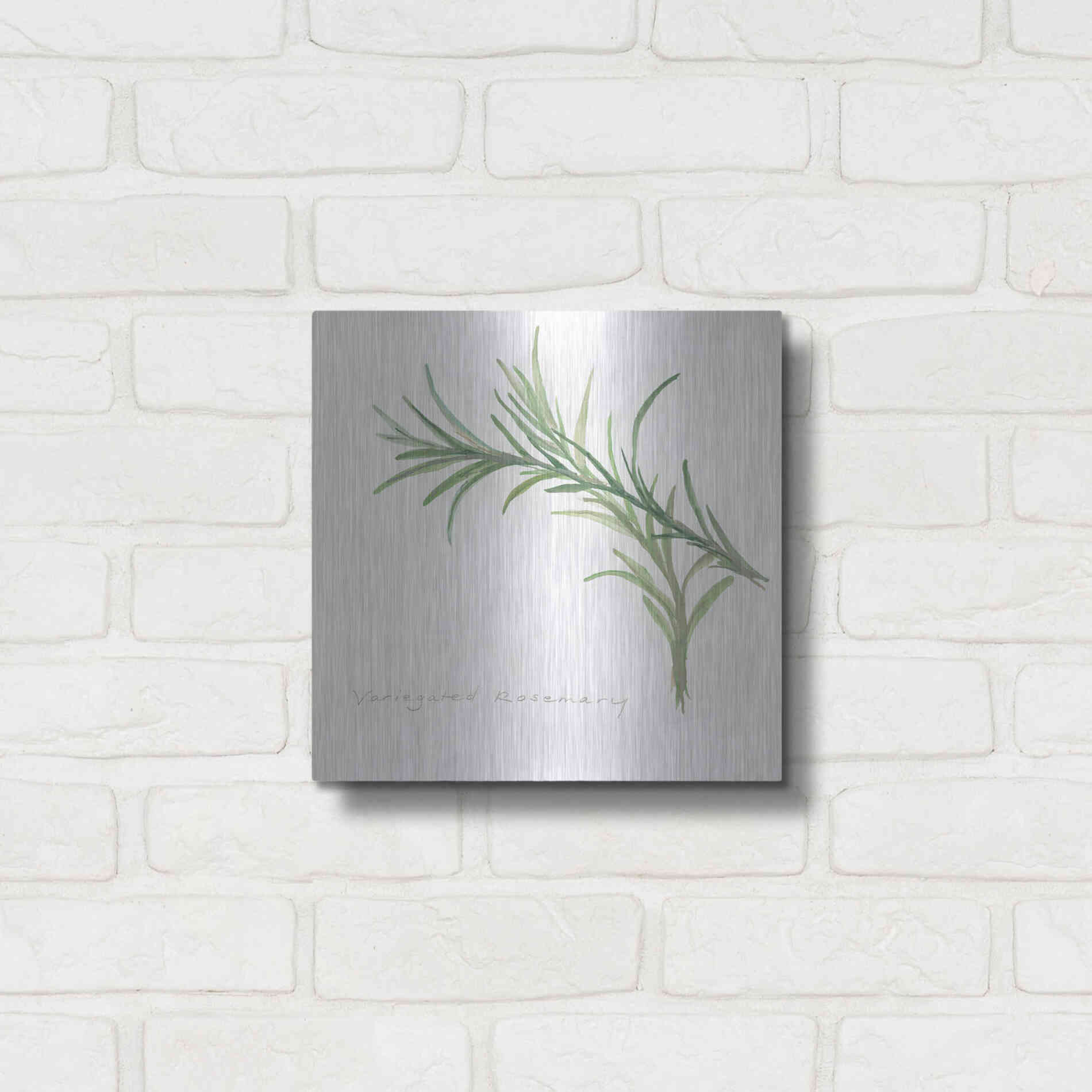 Luxe Metal Art 'Variegated Rosemary' by Chris Paschke, Metal Wall Art,12x12