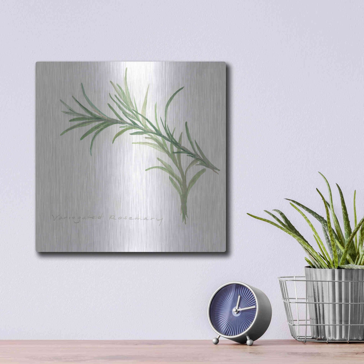 Luxe Metal Art 'Variegated Rosemary' by Chris Paschke, Metal Wall Art,12x12