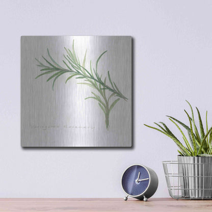 Luxe Metal Art 'Variegated Rosemary' by Chris Paschke, Metal Wall Art,12x12