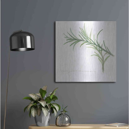 Luxe Metal Art 'Variegated Rosemary' by Chris Paschke, Metal Wall Art,24x24