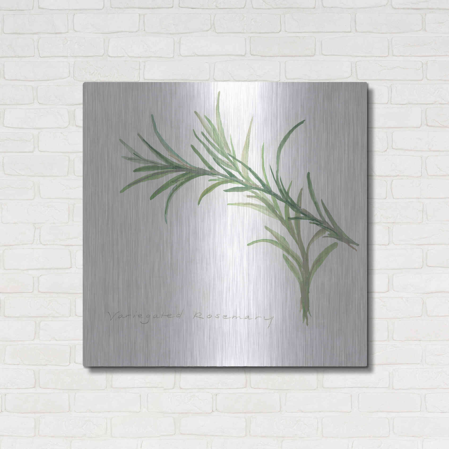 Luxe Metal Art 'Variegated Rosemary' by Chris Paschke, Metal Wall Art,36x36