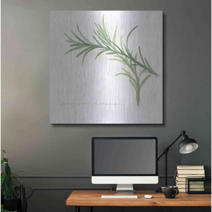 Luxe Metal Art 'Variegated Rosemary' by Chris Paschke, Metal Wall Art,36x36