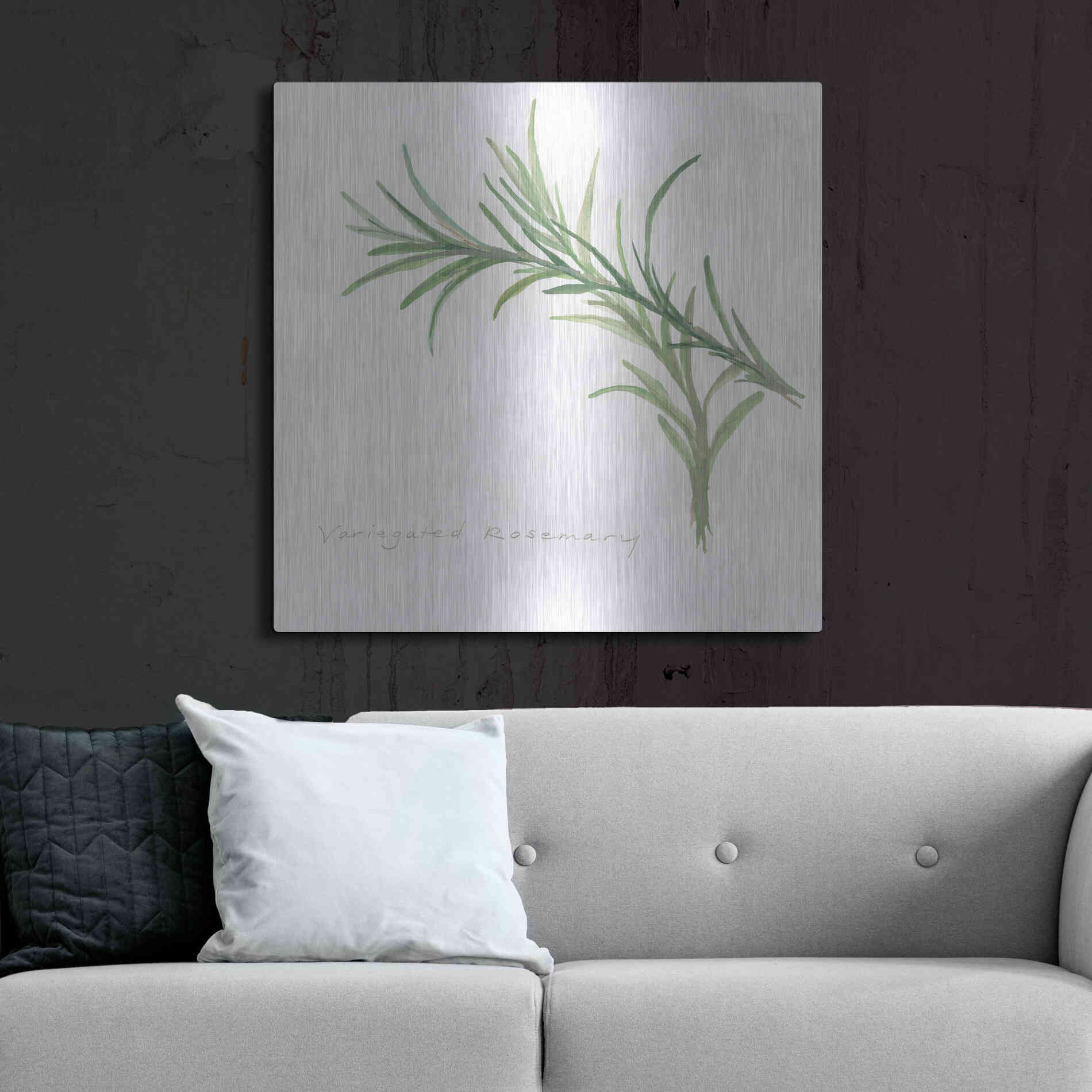Luxe Metal Art 'Variegated Rosemary' by Chris Paschke, Metal Wall Art,36x36