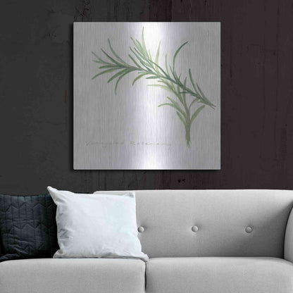 Luxe Metal Art 'Variegated Rosemary' by Chris Paschke, Metal Wall Art,36x36
