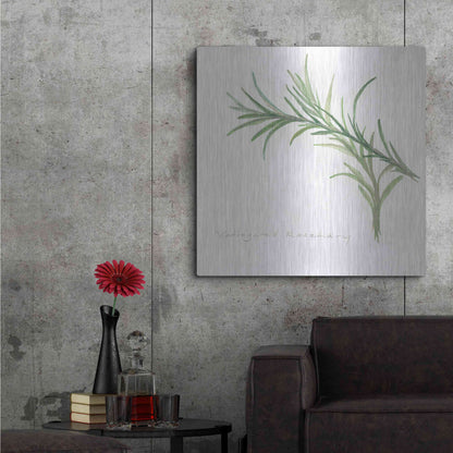 Luxe Metal Art 'Variegated Rosemary' by Chris Paschke, Metal Wall Art,36x36