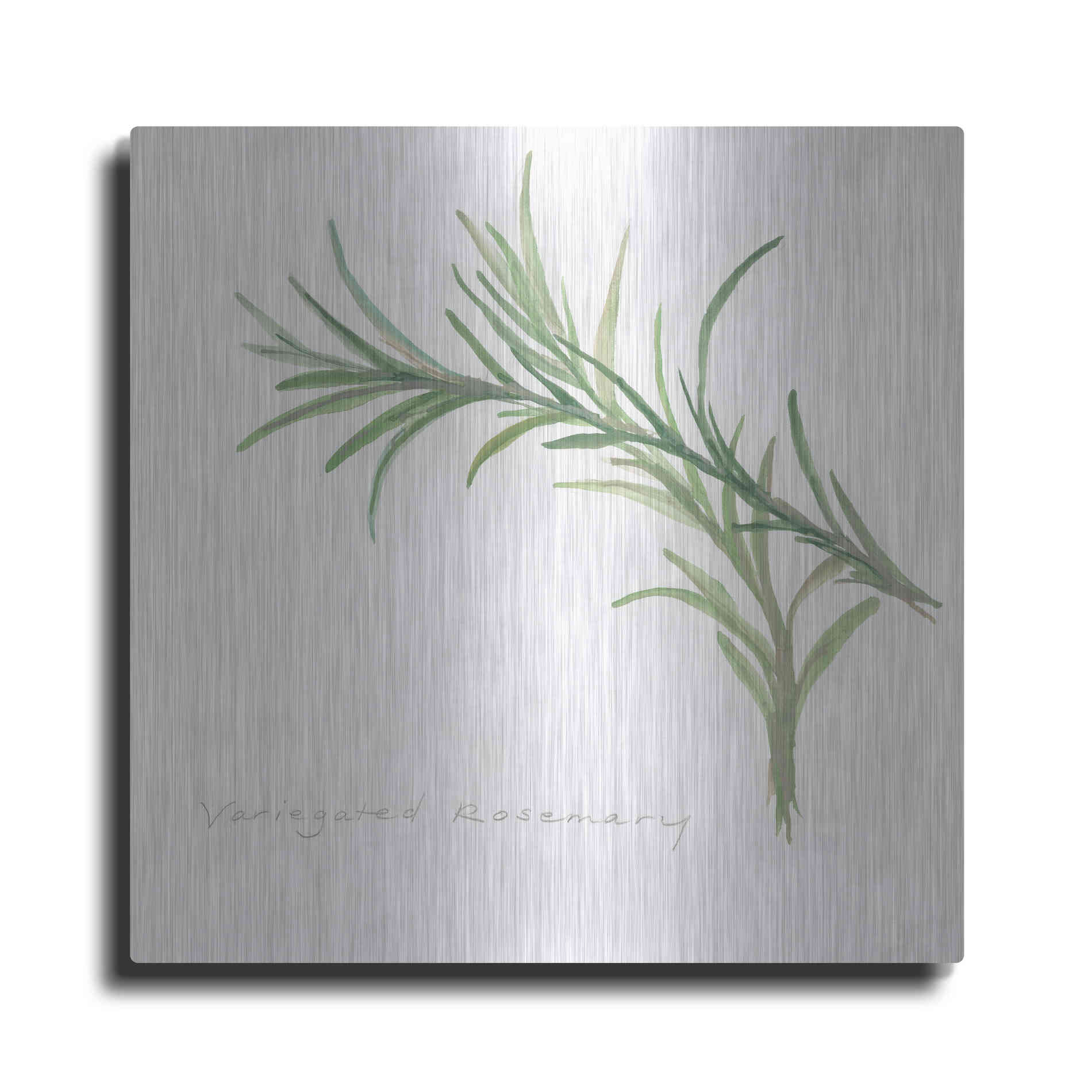 Luxe Metal Art 'Variegated Rosemary' by Chris Paschke, Metal Wall Art