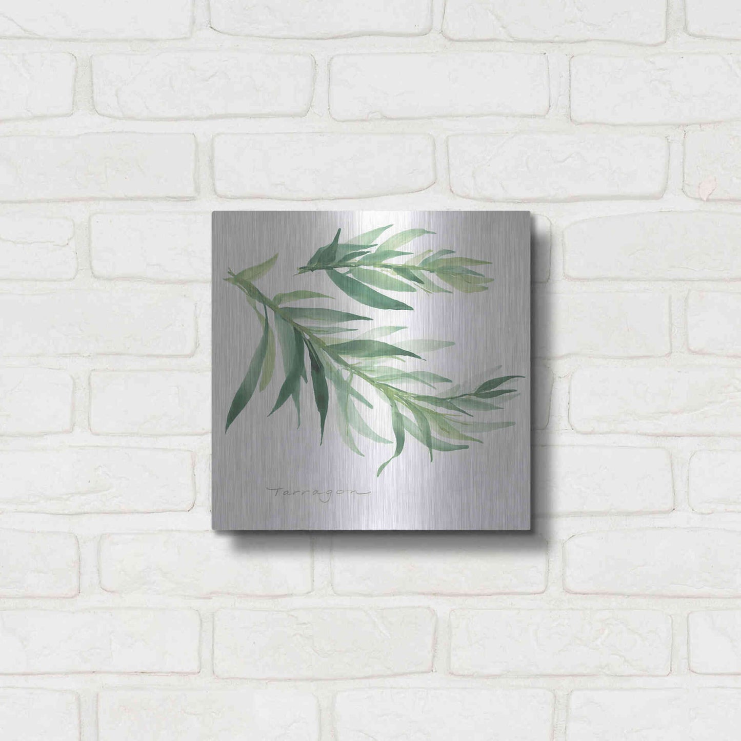 Luxe Metal Art 'Tarragon' by Chris Paschke, Metal Wall Art,12x12