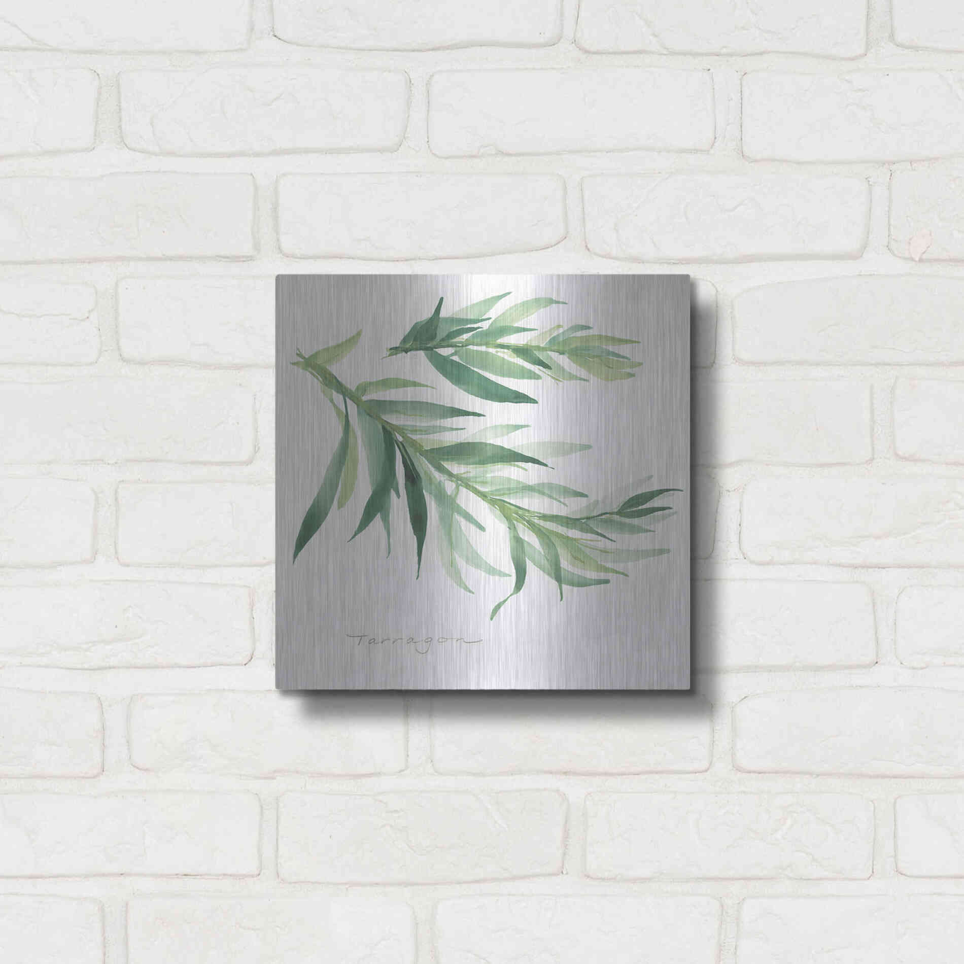 Luxe Metal Art 'Tarragon' by Chris Paschke, Metal Wall Art,12x12