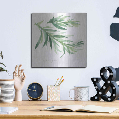 Luxe Metal Art 'Tarragon' by Chris Paschke, Metal Wall Art,12x12