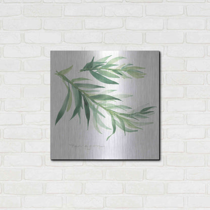 Luxe Metal Art 'Tarragon' by Chris Paschke, Metal Wall Art,24x24