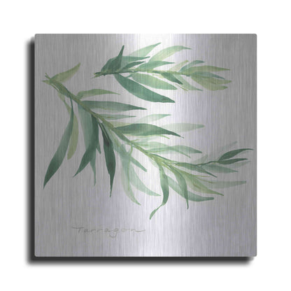 Luxe Metal Art 'Tarragon' by Chris Paschke, Metal Wall Art