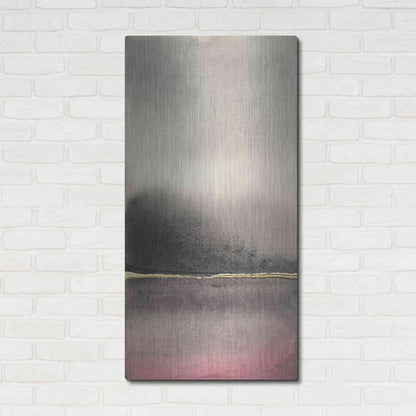 Luxe Metal Art 'After the Storm I' by Chris Paschke, Metal Wall Art,24x48