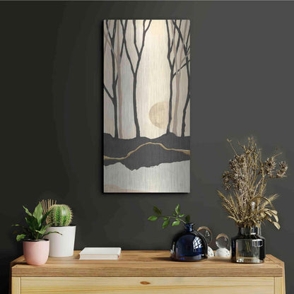 Luxe Metal Art 'Silhouette III' by Chris Paschke, Metal Wall Art,12x24