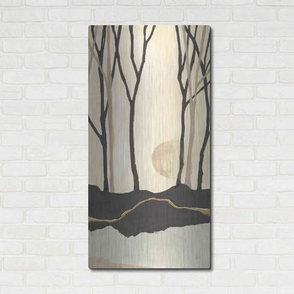 Luxe Metal Art 'Silhouette III' by Chris Paschke, Metal Wall Art,24x48