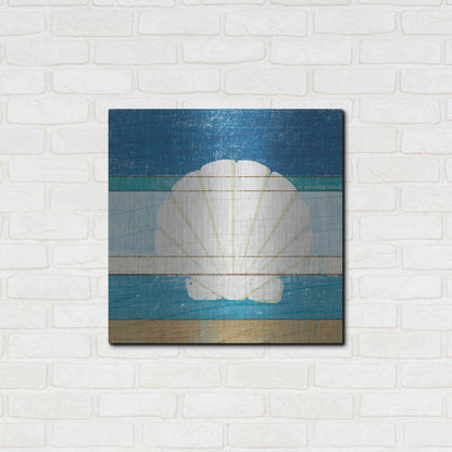 Luxe Metal Art 'Beachscape Shell v2' by Michael Mullan, Metal Wall Art,24x24