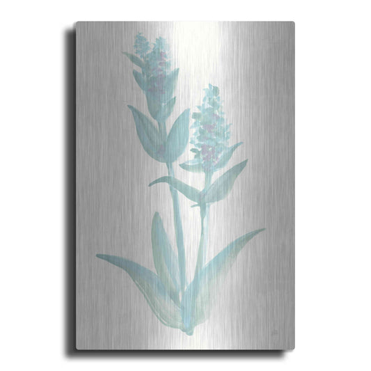 Luxe Metal Art 'Lambs Ear Sage I' by Chris Paschke, Metal Wall Art