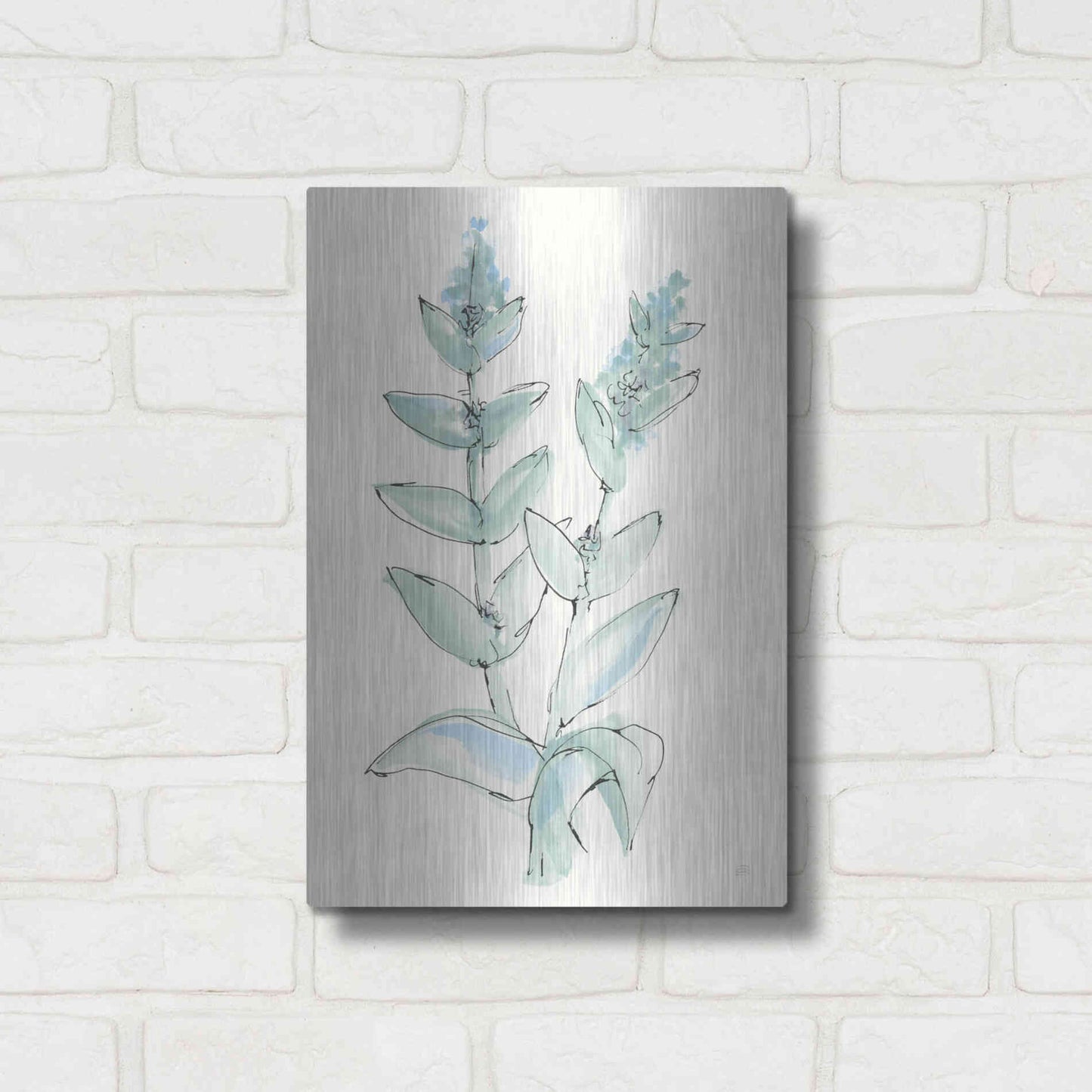 Luxe Metal Art 'Lambs Ear Sage III' by Chris Paschke, Metal Wall Art,12x16