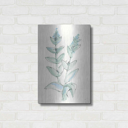 Luxe Metal Art 'Lambs Ear Sage III' by Chris Paschke, Metal Wall Art,16x24