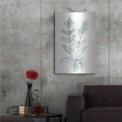 Luxe Metal Art 'Lambs Ear Sage III' by Chris Paschke, Metal Wall Art,24x36