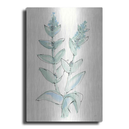 Luxe Metal Art 'Lambs Ear Sage III' by Chris Paschke, Metal Wall Art