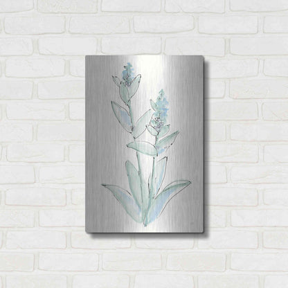 Luxe Metal Art 'Lambs Ear Sage IV' by Chris Paschke, Metal Wall Art,16x24