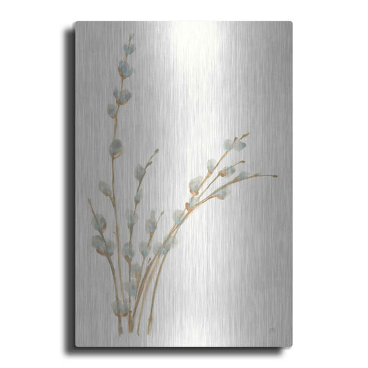 Luxe Metal Art 'Pussy Willows III' by Chris Paschke, Metal Wall Art
