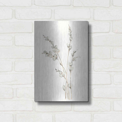 Luxe Metal Art 'Pussy Willows IV' by Chris Paschke, Metal Wall Art,12x16