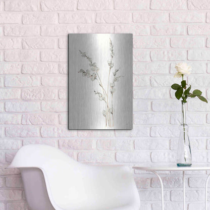 Luxe Metal Art 'Pussy Willows IV' by Chris Paschke, Metal Wall Art,16x24