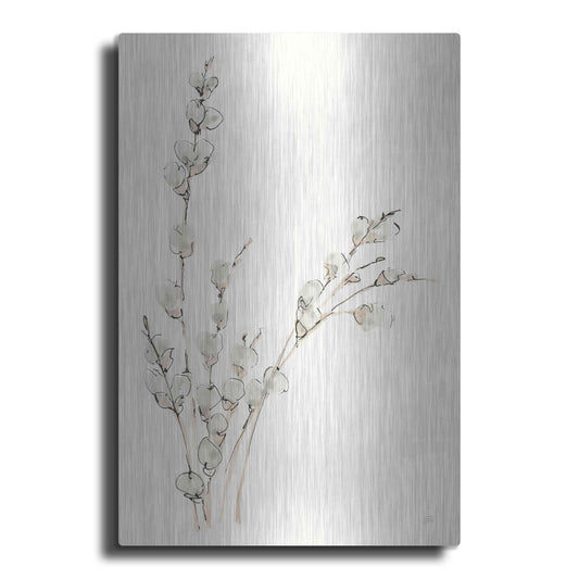 Luxe Metal Art 'Pussy Willows V' by Chris Paschke, Metal Wall Art
