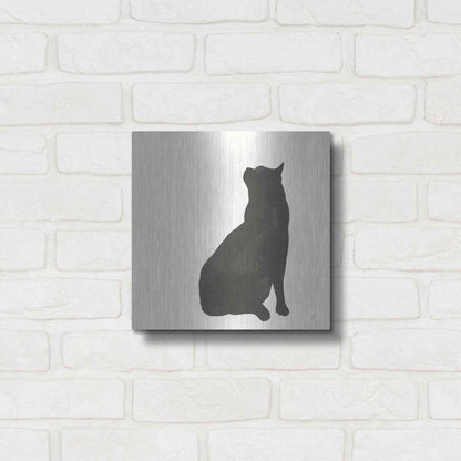 Luxe Metal Art 'Black Cat II' by Chris Paschke, Metal Wall Art,12x12