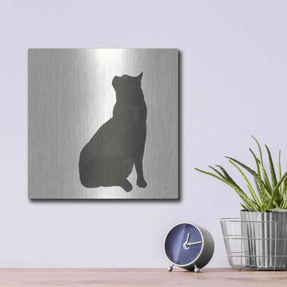 Luxe Metal Art 'Black Cat II' by Chris Paschke, Metal Wall Art,12x12