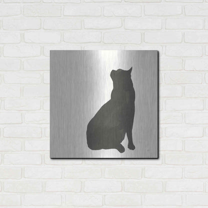 Luxe Metal Art 'Black Cat II' by Chris Paschke, Metal Wall Art,24x24