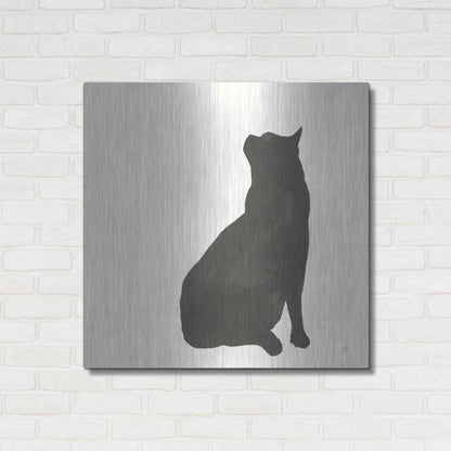Luxe Metal Art 'Black Cat II' by Chris Paschke, Metal Wall Art,36x36