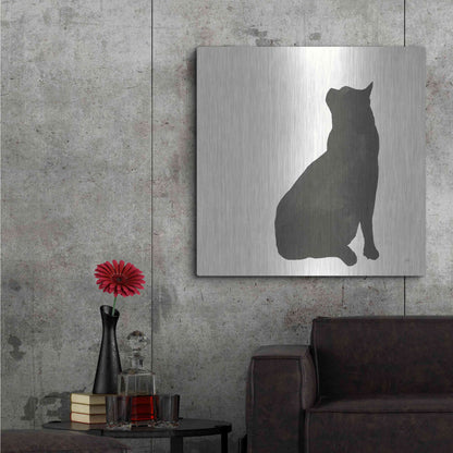 Luxe Metal Art 'Black Cat II' by Chris Paschke, Metal Wall Art,36x36