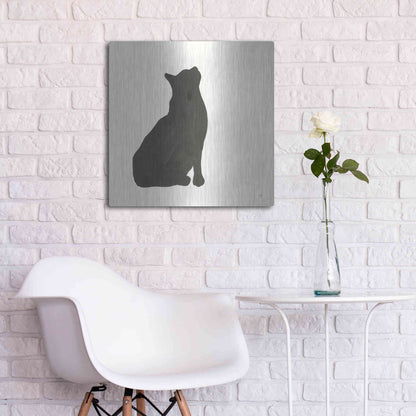 Luxe Metal Art 'Black Cat III' by Chris Paschke, Metal Wall Art,24x24