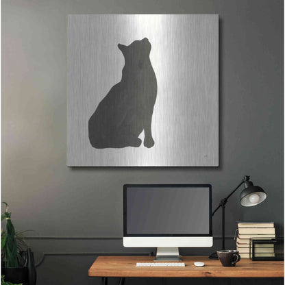 Luxe Metal Art 'Black Cat III' by Chris Paschke, Metal Wall Art,36x36