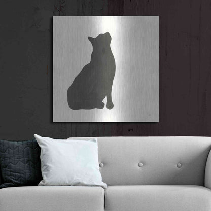 Luxe Metal Art 'Black Cat III' by Chris Paschke, Metal Wall Art,36x36