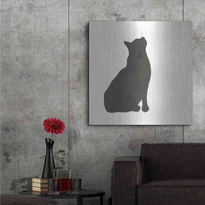 Luxe Metal Art 'Black Cat III' by Chris Paschke, Metal Wall Art,36x36