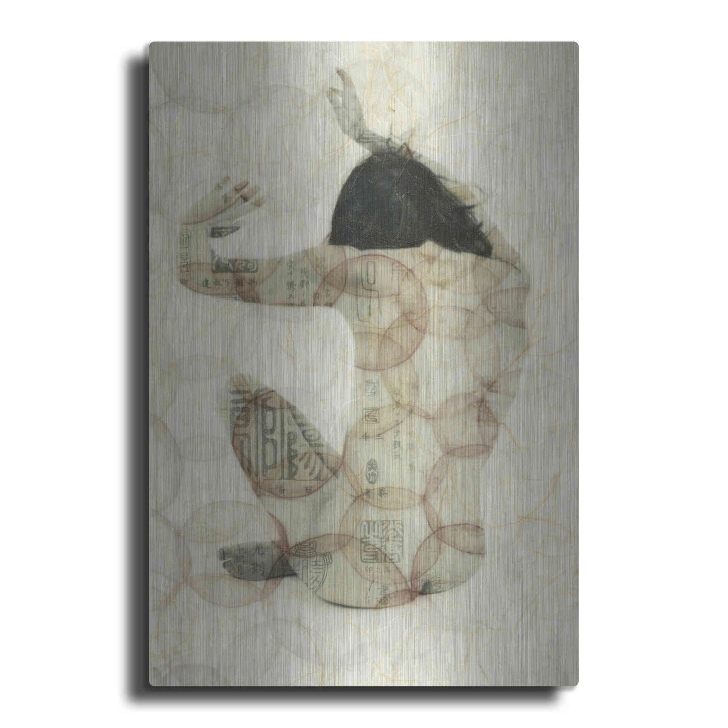 Luxe Metal Art 'Imprinted Woman' by Elena Ray, Metal Wall Art