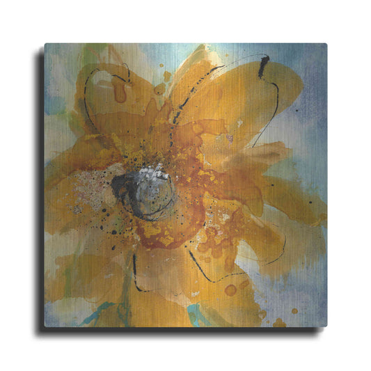 Luxe Metal Art 'Amber Gold II' by Chris Paschke, Metal Wall Art