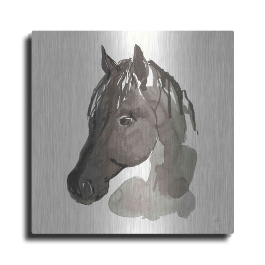 Luxe Metal Art 'Horse Portrait II' by Chris Paschke, Metal Wall Art