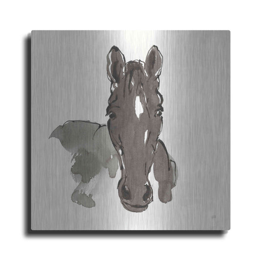 Luxe Metal Art 'Horse Portrait IV' by Chris Paschke, Metal Wall Art