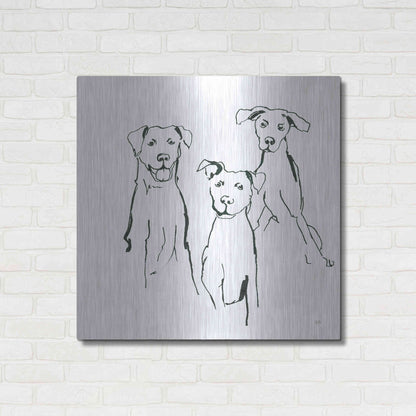 Luxe Metal Art 'Lovable Mutts I' by Chris Paschke, Metal Wall Art,36x36