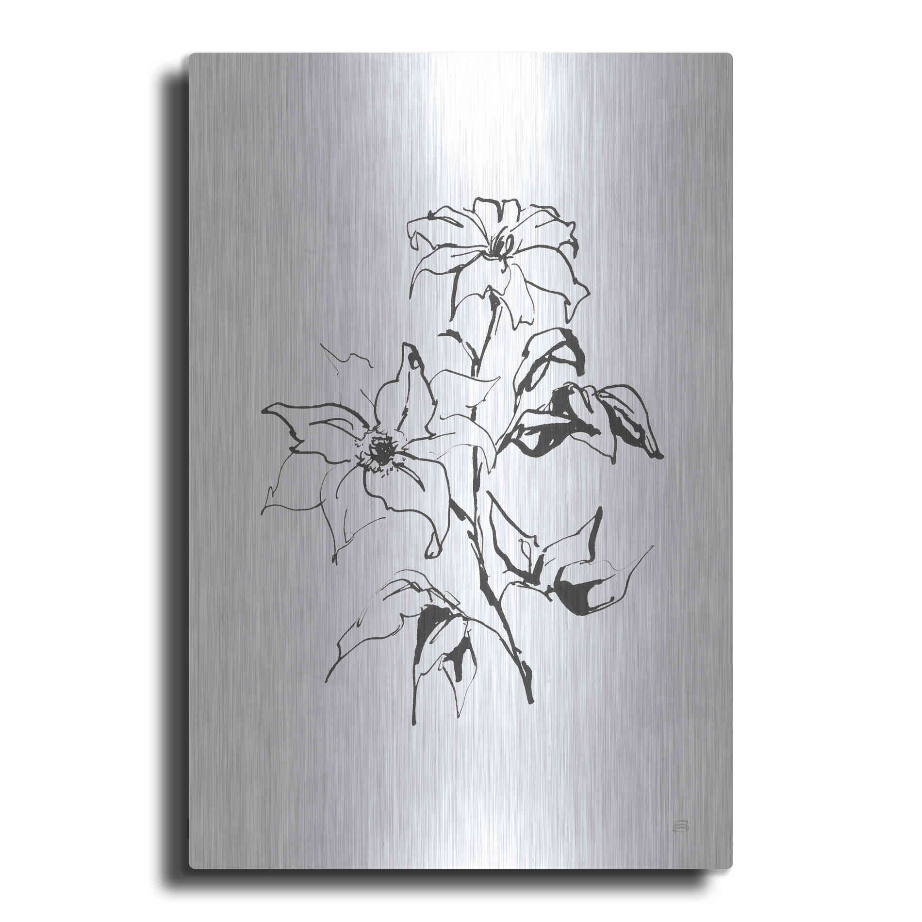 Luxe Metal Art 'Line Clematis' by Chris Paschke, Metal Wall Art