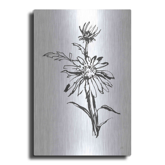 Luxe Metal Art 'Line Echinacea I' by Chris Paschke, Metal Wall Art